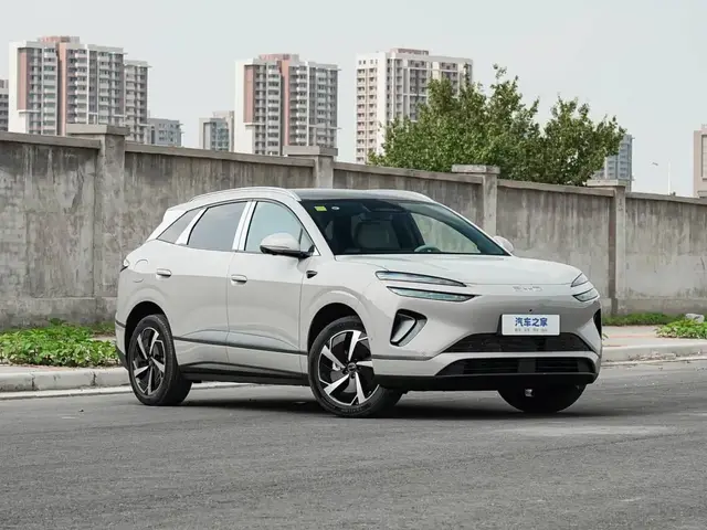 BYD SEA LION 06 2025