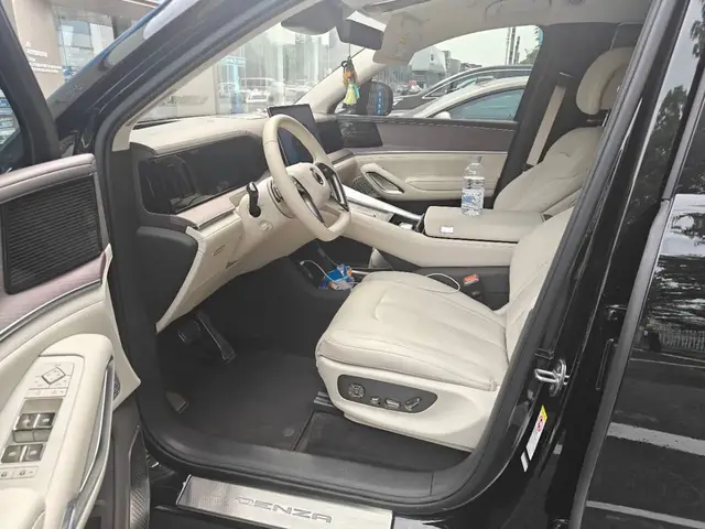 DENZA N9 2025