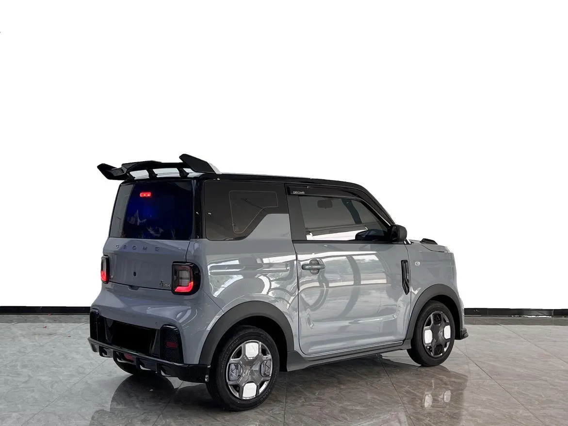 GEELY PANDA 200KM PANDA KARTING 2024