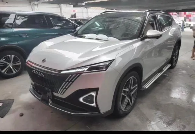 DONGFENG FENGSHEN HAOHAN PREMIUM 2023