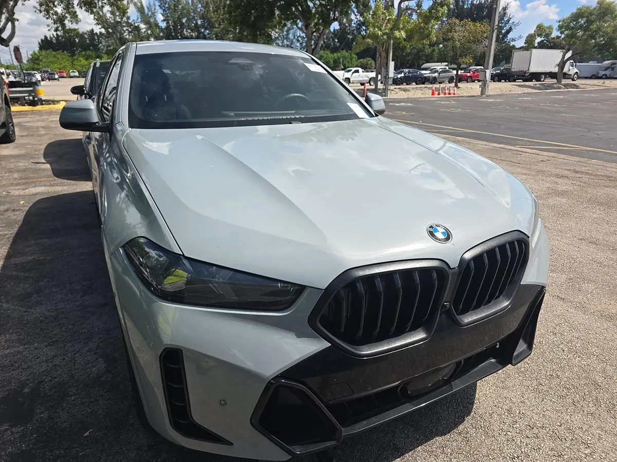 BMW X6 SPORTS ACTIVITY COUPE 2023