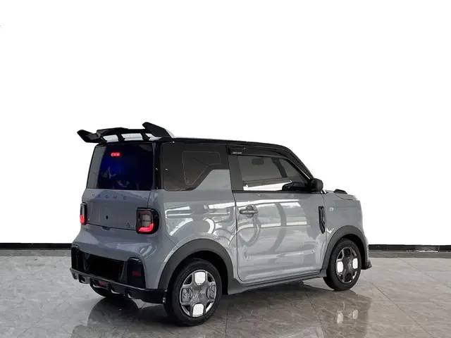 GEELY PANDA 200KM PANDA KARTING 2024