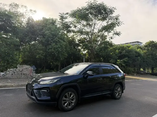 TOYOTA WILDLANDER LUXURY 2023