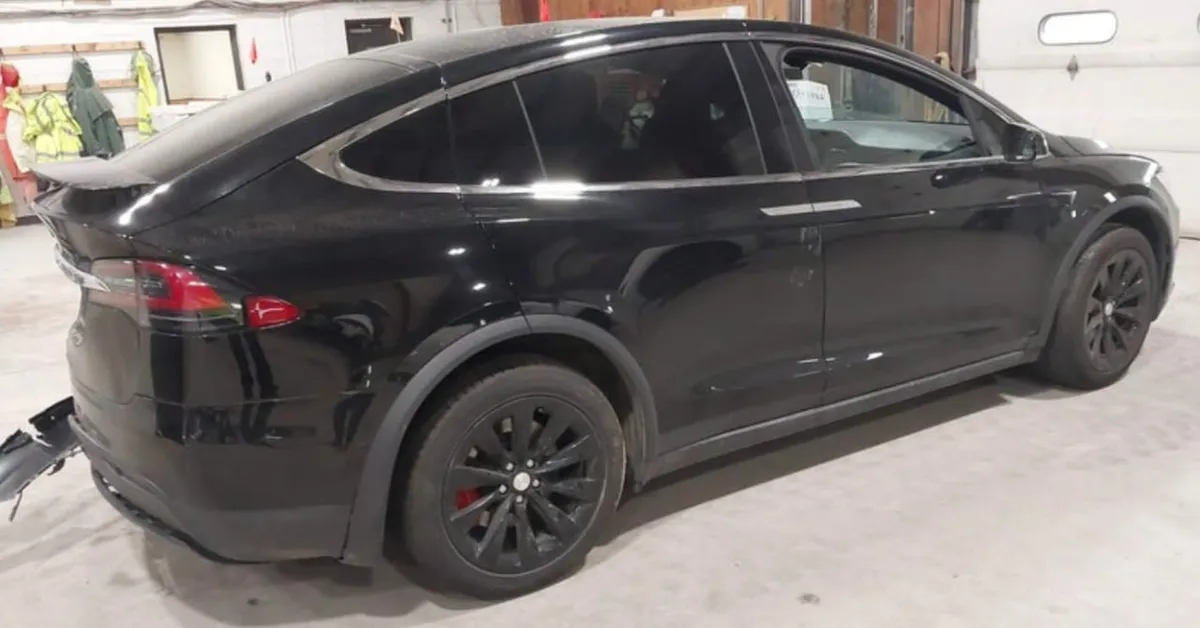 TESLA MODEL X PERFORMANCE DUAL 2020