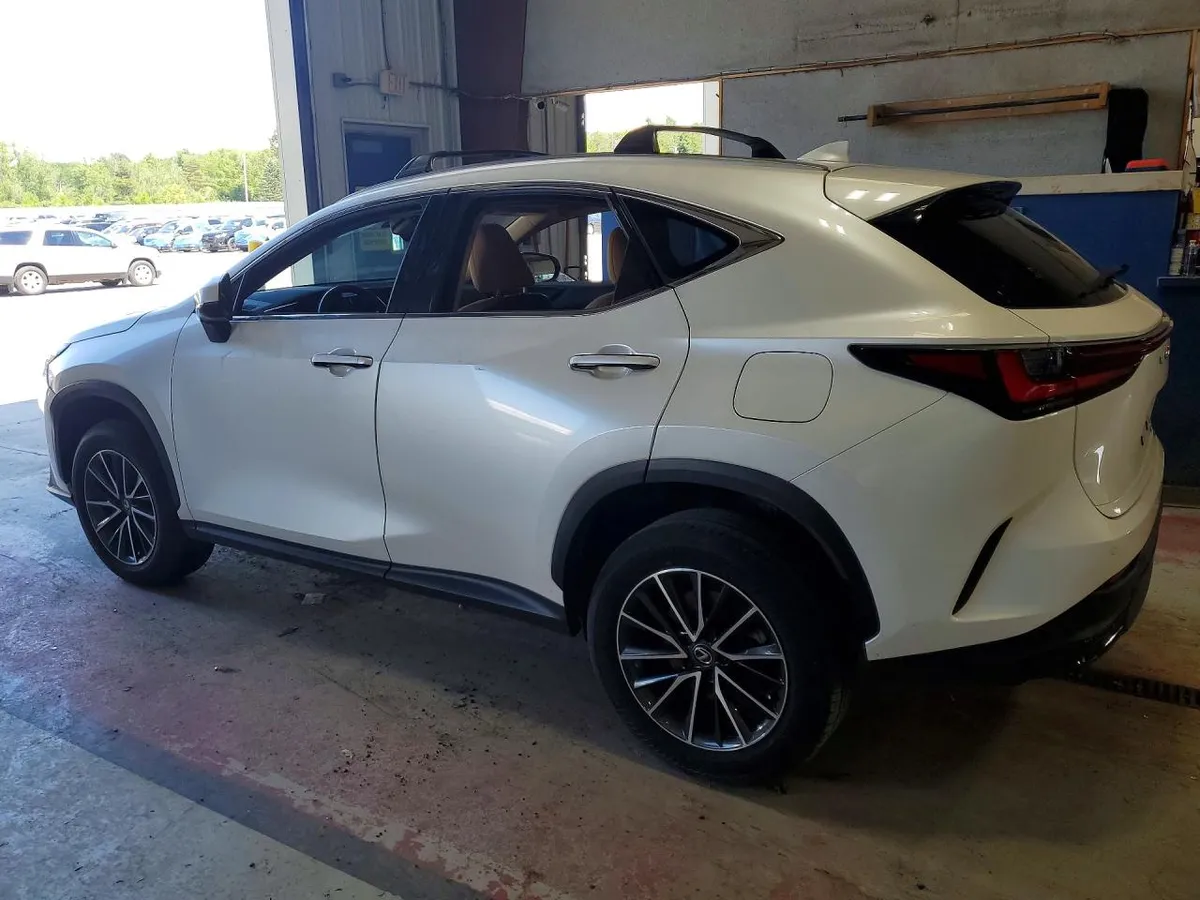 LEXUS NX PREMIUM 2024
