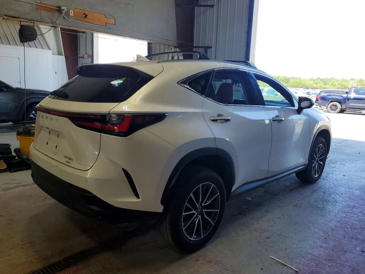 LEXUS NX PREMIUM 2024