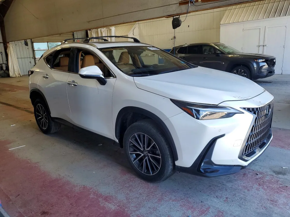 LEXUS NX PREMIUM 2024