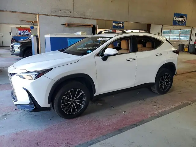 LEXUS NX PREMIUM 2024