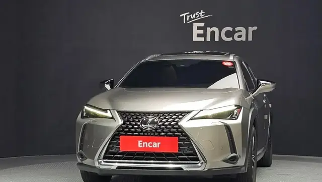 LEXUS UX250H 2022