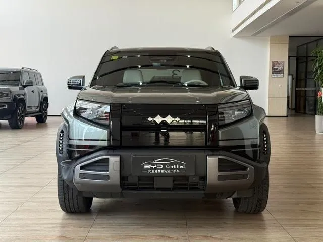 BYD LEOPARD 501KM LEOPARD TITANIUM 3 501KM 2025