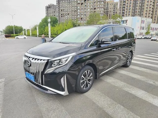 GAC M8 SERIES M8 LEADING SERIES 390T 2022