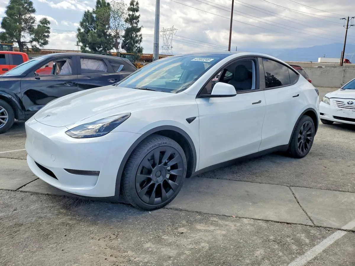 TESLA MODEL Y 2024