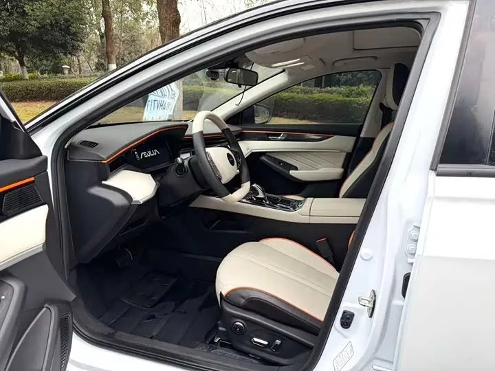 DONGFENG AEOLUS SHINE MAX 2023