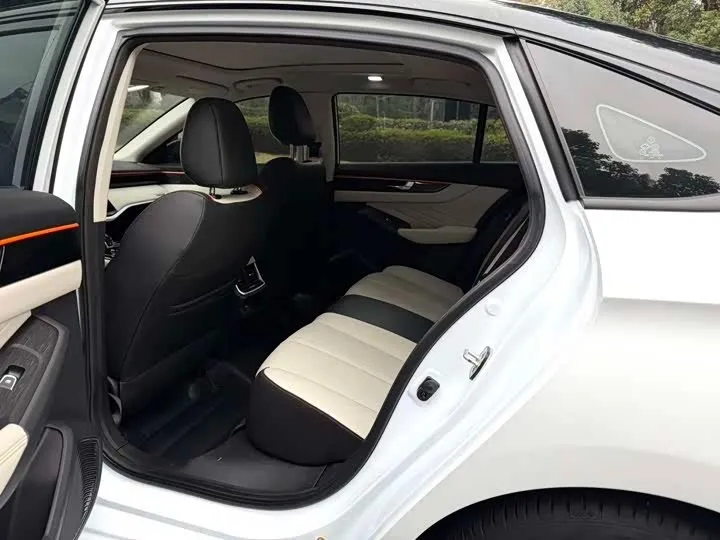DONGFENG AEOLUS SHINE MAX 2023
