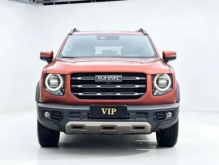 HAVAL BIG DOG 2022