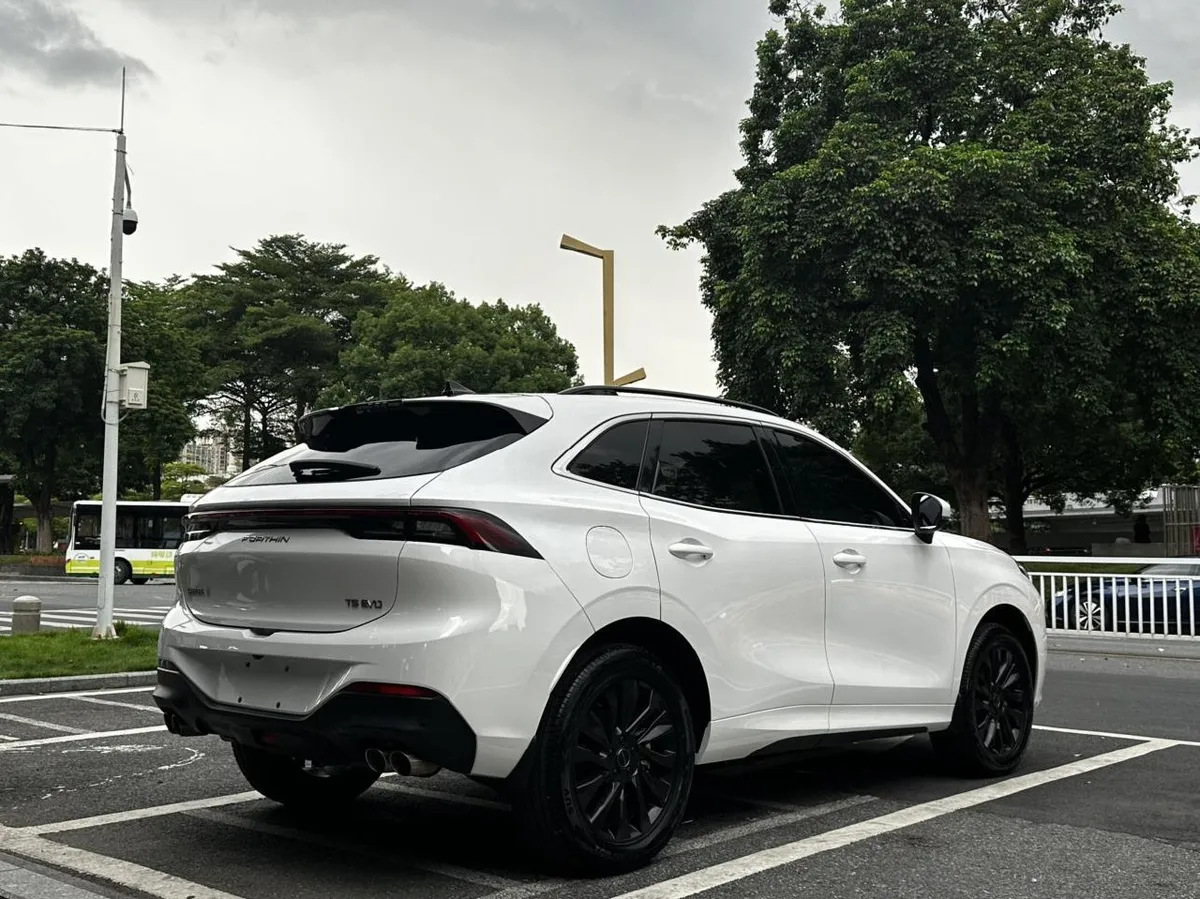 DONGFENG FENGXING EVO FENGXING T5 EVO 2021