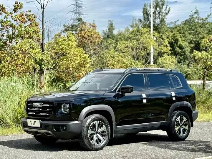 HAVAL BIG DOG 2022