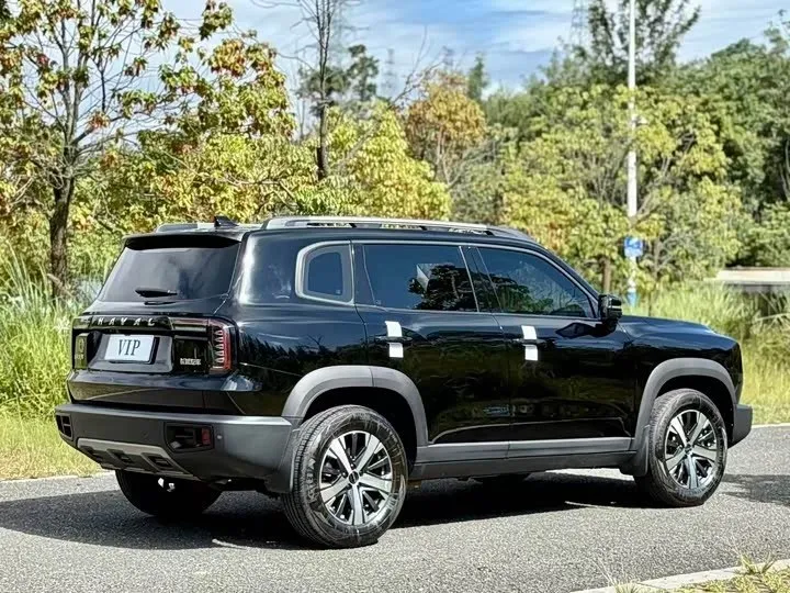 HAVAL BIG DOG 2022