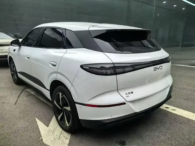 BYD SEA LION 06 2025