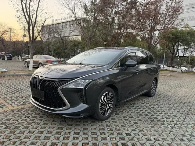 DONGFENG FORTHING YACHT 2023