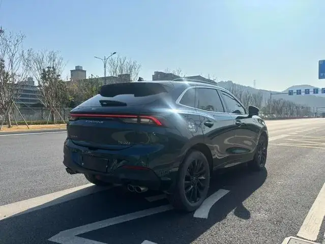 DONGFENG FORTHING EVO FORTHING T5 EVO 1 2022
