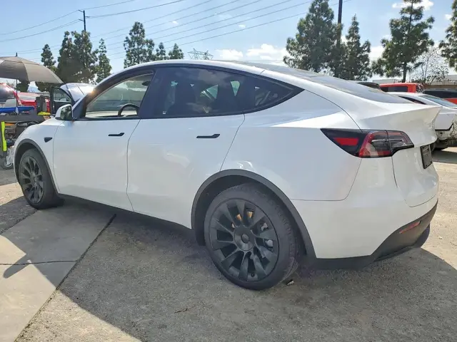 TESLA MODEL Y 2024