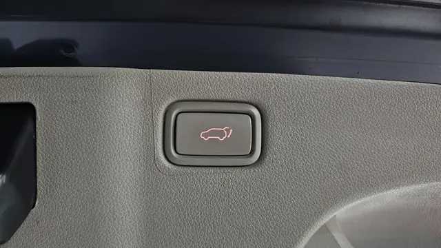 KIA CARNIVAL PRESIDENT CARNIVAL 7-SEATER LIMOUSINE PRESIDENT 2019