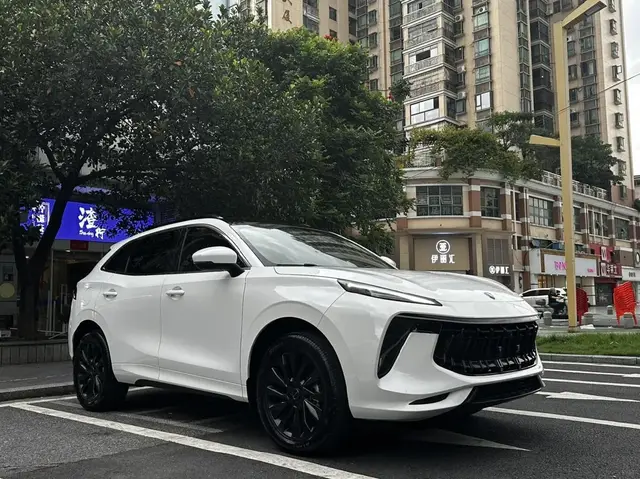 DONGFENG FENGXING EVO FENGXING T5 EVO 2021