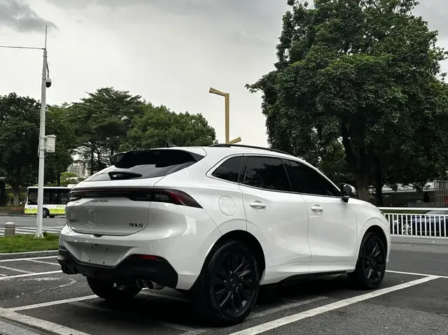 DONGFENG FENGXING EVO FENGXING T5 EVO 2021