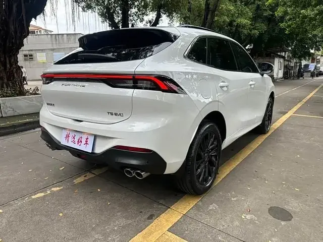 DONGFENG FORTHING EVO FORTHING T5 EVO 1 2022