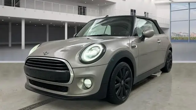 MINI 1 2019