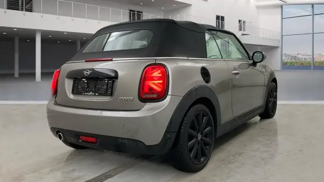 MINI 1 2019