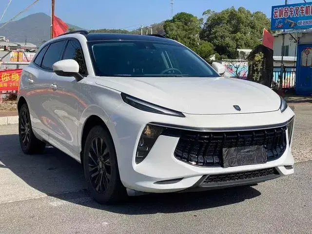 DONGFENG FORTHING EVO FORTHING T5 EVO 1 2021