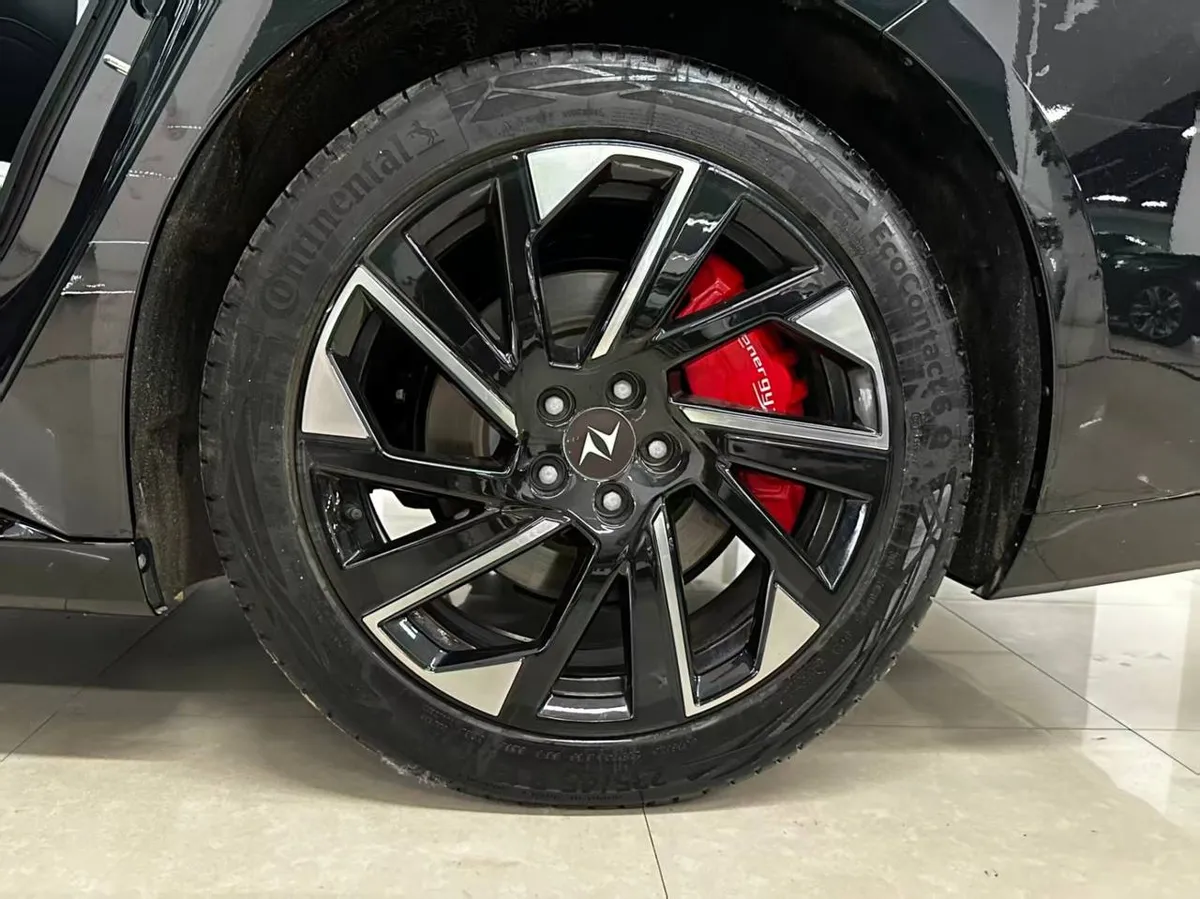 DONGFENG EP007 2024