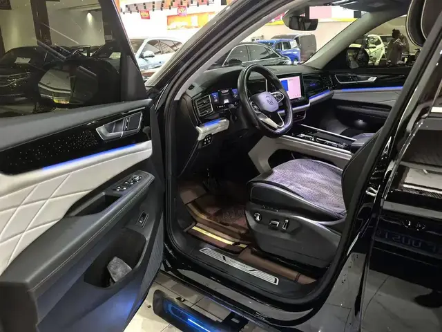 VOLKSWAGEN TERAMONT 2025