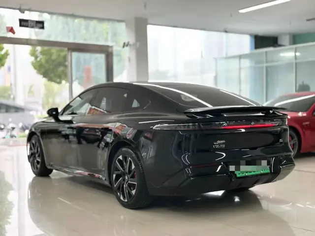 DONGFENG EP007 2024