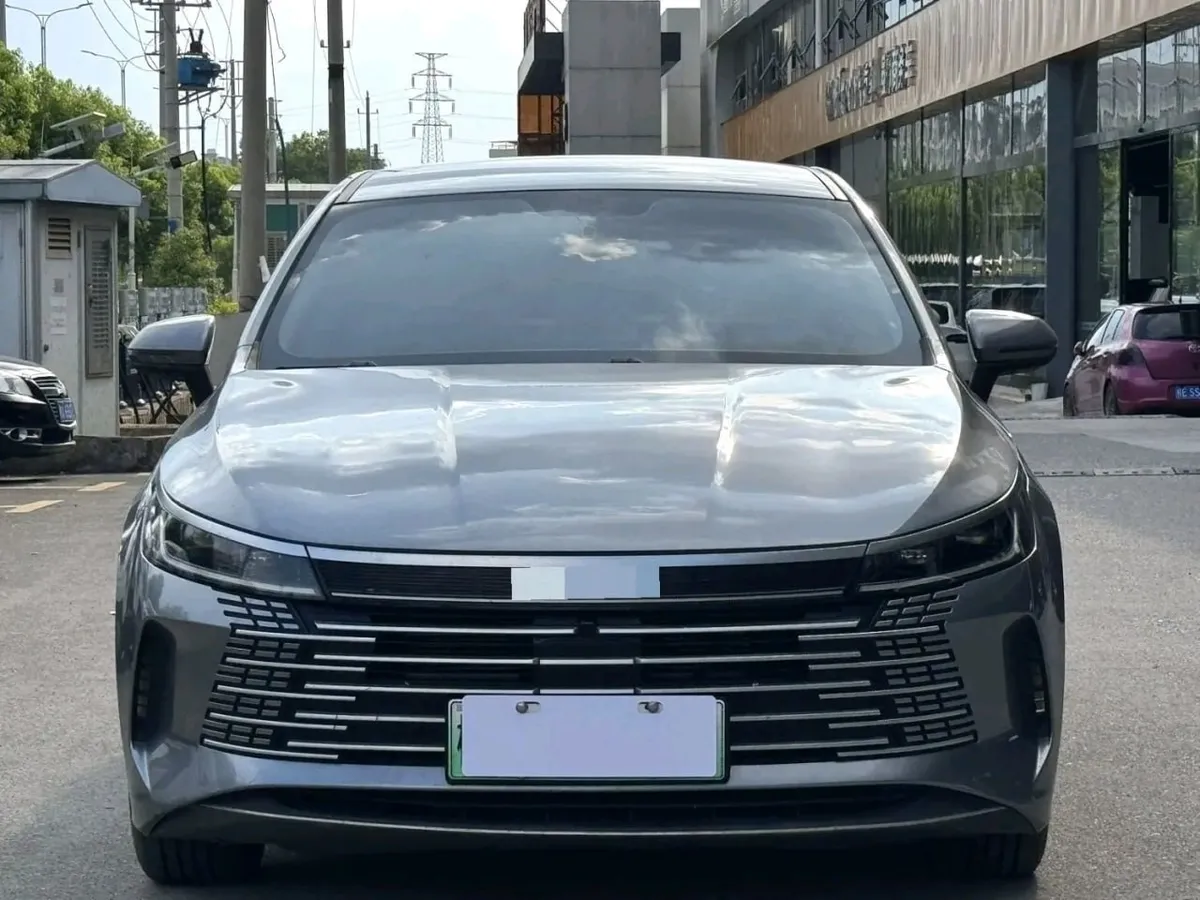 BYD DESTROYER 2022
