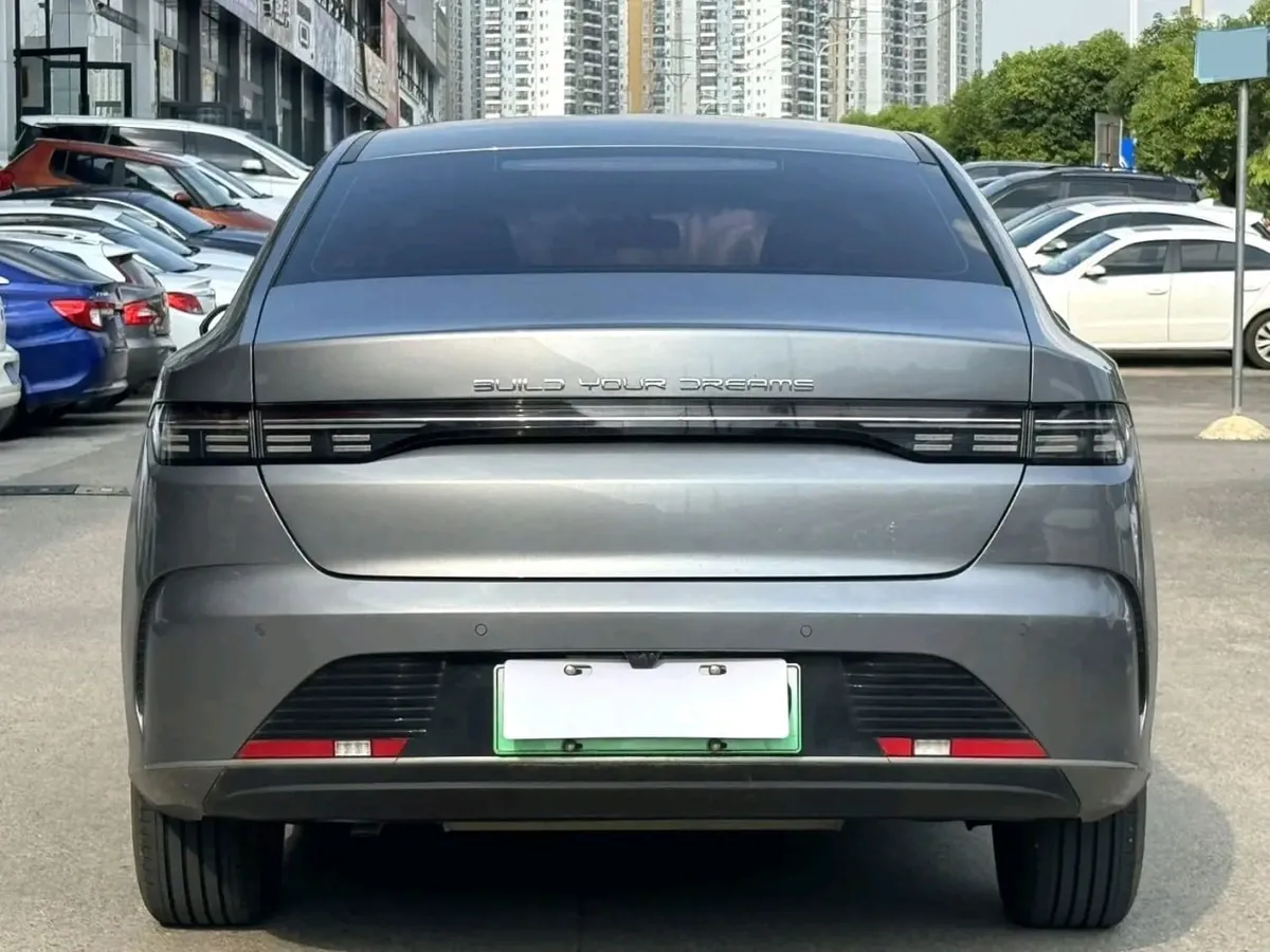 BYD DESTROYER 2022