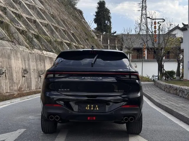 DONGFENG FORTHING T5EVO 2022