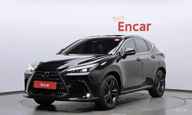 LEXUS NX350 2023