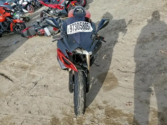 HONDA CMX500 2024