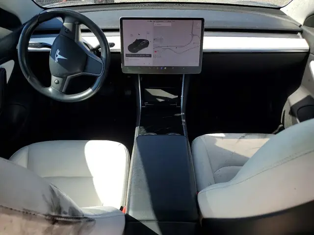 TESLA MODEL 3 2019