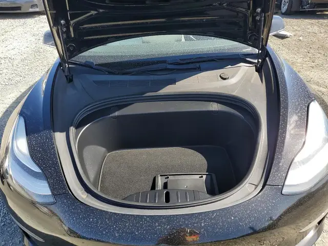 TESLA MODEL 3 2019