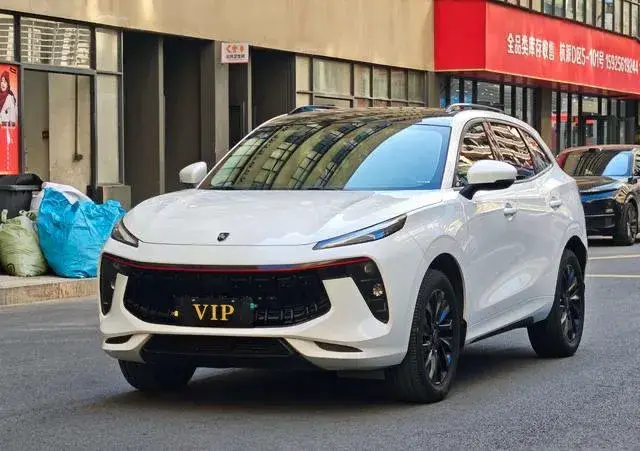 DONGFENG FENGXING T5 2021