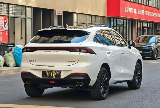 DONGFENG FENGXING T5 2021