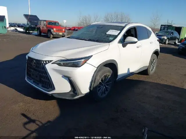 LEXUS NX 350 2022