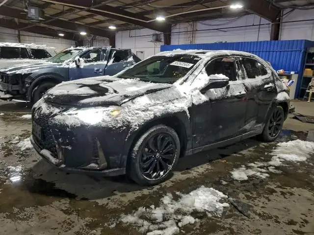 LEXUS UX 250H BASE 2022