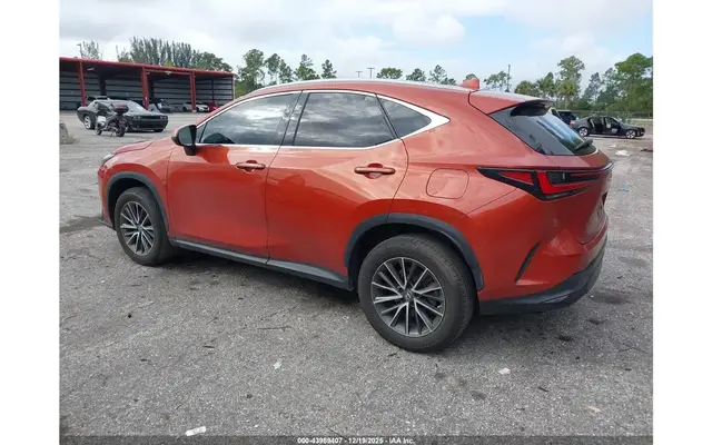 LEXUS NX 350 PREMIUM 2023