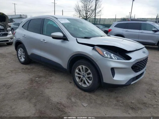 FORD ESCAPE SE 2019