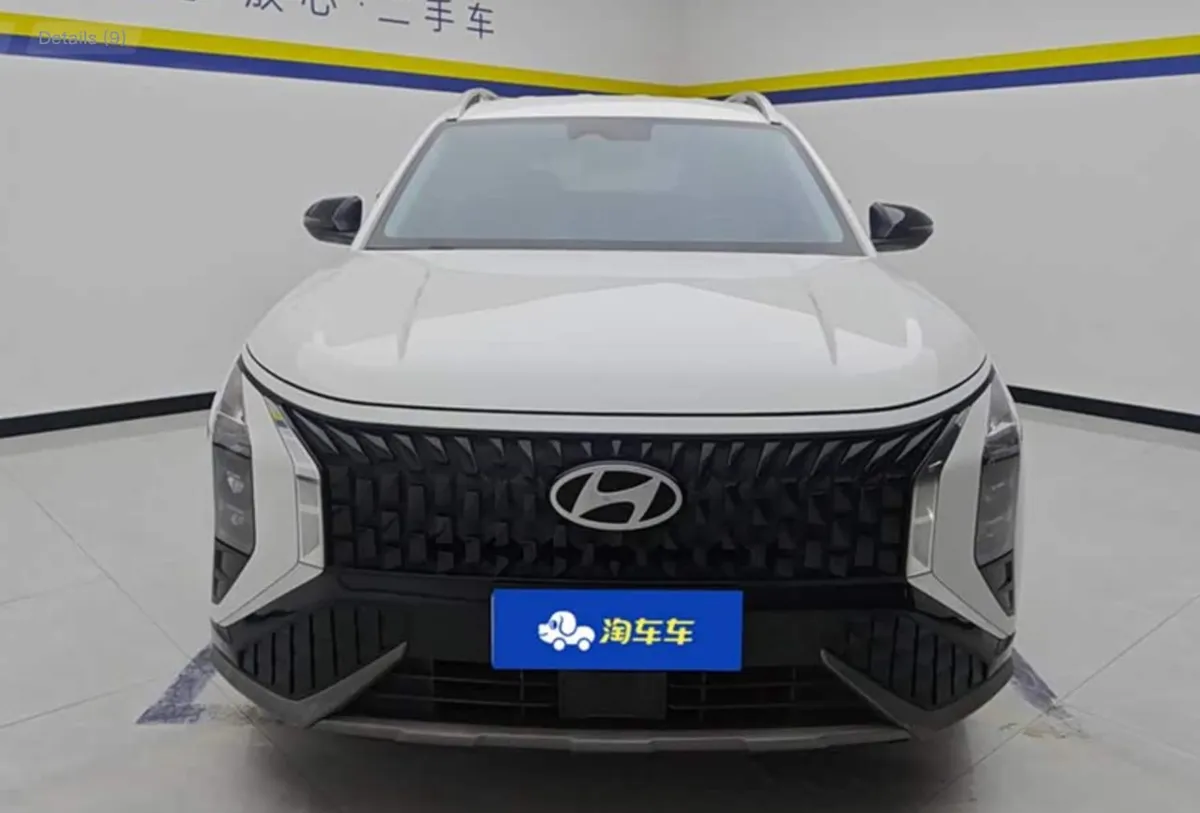 HYUNDAI MUFASA 2023